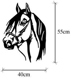 Декорация за стена 55x40 см кон метал