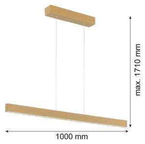 Argon 8306 - LED Пендел BALANS LED/35W/230V 3000K златист