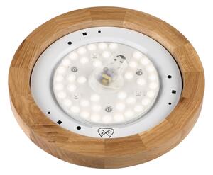 Brilagi - LED таванен плафон BELLADONNA LED/20W/230V, диаметър 30 см, бял/дъб
