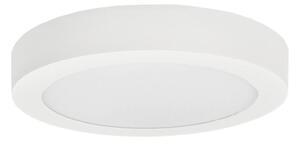 LED Плафониера FENIX LED/12W/230V 3800K Ø 17 см снежнобял