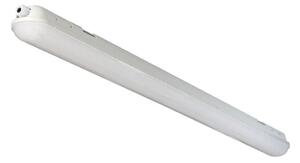 LED техническо тръбно осветително тяло WALCOT LED/37W/230V 6500K 120 cm IP65 бяло