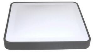 LED таванно осветително тяло със сензор WILTON LED/24W/230V 4000K 33x33 cm антрацит