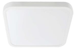 LED Плафон за баня LED/24W/230V 4000K IP44 бял