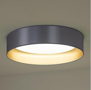 Duolla - LED Плафониера ROLLER LED/24W/230V сребрист/златист