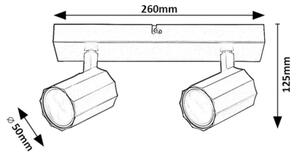 Rabalux 73024 - Спот ROGELIO 2xGU10/5W/230V
