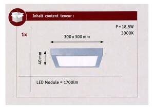 Paulmann 70650 - LED/17W Плафон LUNAR 230V