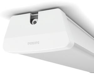 Philips 31248/31/P0 - LED Техническа лампа AQUALINE LED/24W/230V IP65