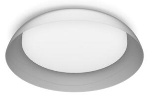 Philips - LED Димируем плафон FLETA LED/10W/230V 2700K прозрачен