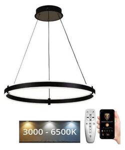 Brilagi - LED Димируем пендел CIRCLE LED/85W/230V 3000-6500K черен + д.у