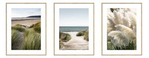 Картини в комплект 3 бр. 30x40 cm Beach – knor