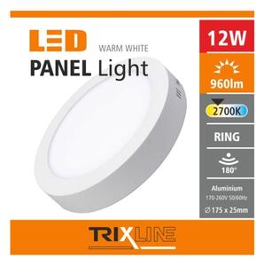 LED Лампа за таван LED/12W/230V