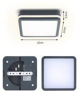 Brilagi - LED Екстериорна лампа BENE LED/18W/230V 22x22 см IP54