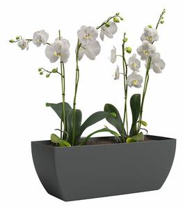 Саксия за цветя от рециклирана пластмаса 30 cm Siena – Artevasi