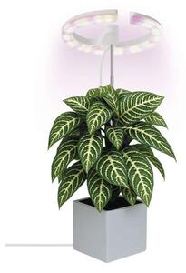 LED лампа с регулируема яркост за вътрешно отглеждане на растения GROW LED/8W/5V