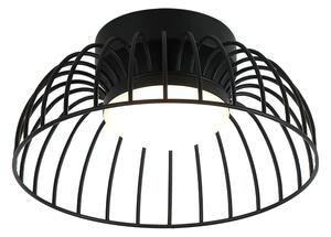 LED таванно осветително тяло BETSY LED/12W/230V Ø 25 см черно