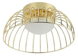 LED плафон BETSY LED/12W/230V Ø 25 см златист