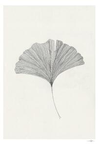 Постер 50x70 cm Ginkgo Leaf – Ana Frois – The Poster Club