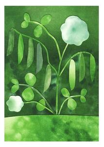 Постер 50x70 cm Peas in Bloom – Anna Ravn Bjørn – The Poster Club