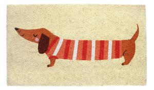 Изтривалка от кокосови влакна 43x73 cm Sausage Dog – Rex London