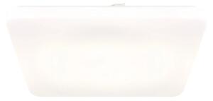 Globo 41548-24 - LED таванно осветително тяло DONTE LED/24W/230V 41x41 cm