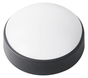 LED външно таванно осветление LED/14W/230V IP54 черно