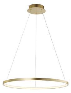 Leuchten Direkt 11524-12 - LED Полилей висящ на кабел CIRCLE LED/28,5W/230V