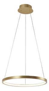 Leuchten Direkt 11522-12 - LED Полилей висящ на кабел CIRCLE LED/19W/230V