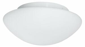 Searchlight - Осветление за таван на баня FLUSH 1xE27/60W/230V IP44