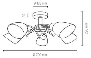 Spot-Light 8141574 - Полилей за повърхностен монтаж VILETTA 5xE27/40W/230V