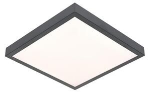 LED Лампа VITALI LED/24W/230V