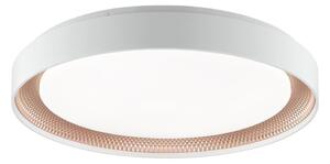 Brilliant - Димируем LED плафон WALDO LED/36W/230V бял/розово злато + дистанционно