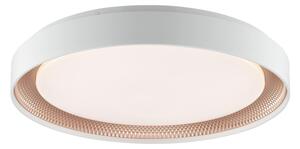 Brilliant - Димируем LED плафон WALDO LED/36W/230V бял/розово злато + дистанционно
