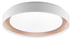 Brilliant - LED димируемо таванно осветително тяло WALDO LED/24W/230V бяло/розово злато + дистанционно управление