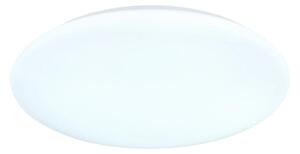 Globo 41548R-24 - LED таванно осветително тяло DONTE LED/24W/230V Ø 40 см