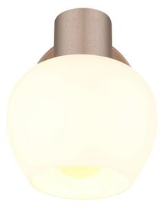 Globo 54662-1 - Стенно спот осветително тяло EILEEN 1xE27/40W/230V