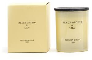 CERERIA MOLLA АРОМАТНА СВЕЩ BLACK ORCHID&LILY