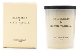 CERERIA MOLLA МИНИ АРОМАТНА СВЕЩ RASPBERRY&BLACK