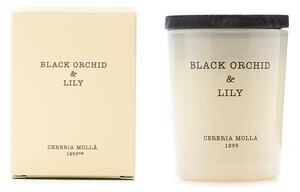 CERERIA MOLLA МИНИ АРОМАТНА СВЕЩ BLACK ORCHID&LILY