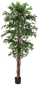 BIZZOTTO ИЗКУСТВЕНО РАСТЕНИЕ FICUS 210CM ЗЕЛЕНО