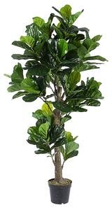 BIZZOTTO ИЗКУСТВЕНО РАСТЕНИЕ FICUS LYRATA 190CM