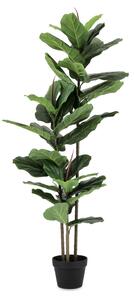 BIZZOTTO ИЗКУСТВЕНО РАСТЕНИЕ FICUS LYRATA 145CM