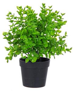 BIZZOTTO ИЗКУСТВЕНО РАСТЕНИЕ SEDUM 25CM ЗЕЛЕНО