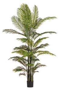 BIZZOTTO ИЗКУСТВЕНО РАСТЕНИЕ KENZIA 210CM ЗЕЛЕНО