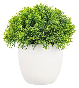 BIZZOTTO ИЗКУСТВЕНО РАСТЕНИЕ В САКСИЯ Ø14 × 16 cm CORYN ЗЕЛЕНО