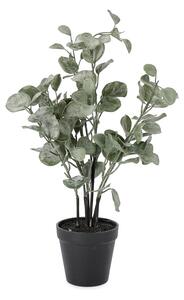 BIZZOTTO ИЗКУСТВЕНО РАСТЕНИЕ В САКСИЯ EUCALYPTUS