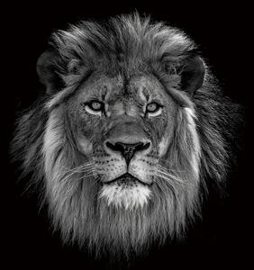IMAGELAND СТЪКЛЕНА КАРТИНА THE LION KING