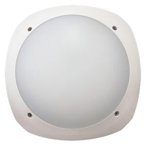 STUCCI ПЛАФОН BACKLIGHT 1XE27 IP66 БЯЛ