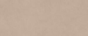 AC гранитогрес Natural Pro Skin 50x120x8.5