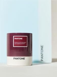 Sinsay - Свещ Pantone - бледомораво