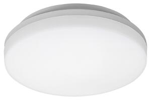 RABALUX 2698 Zenon, външно LED осветление, LED 24W, бяло, IP54 - 2698